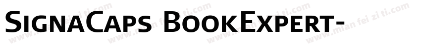 SignaCaps BookExpert字体转换